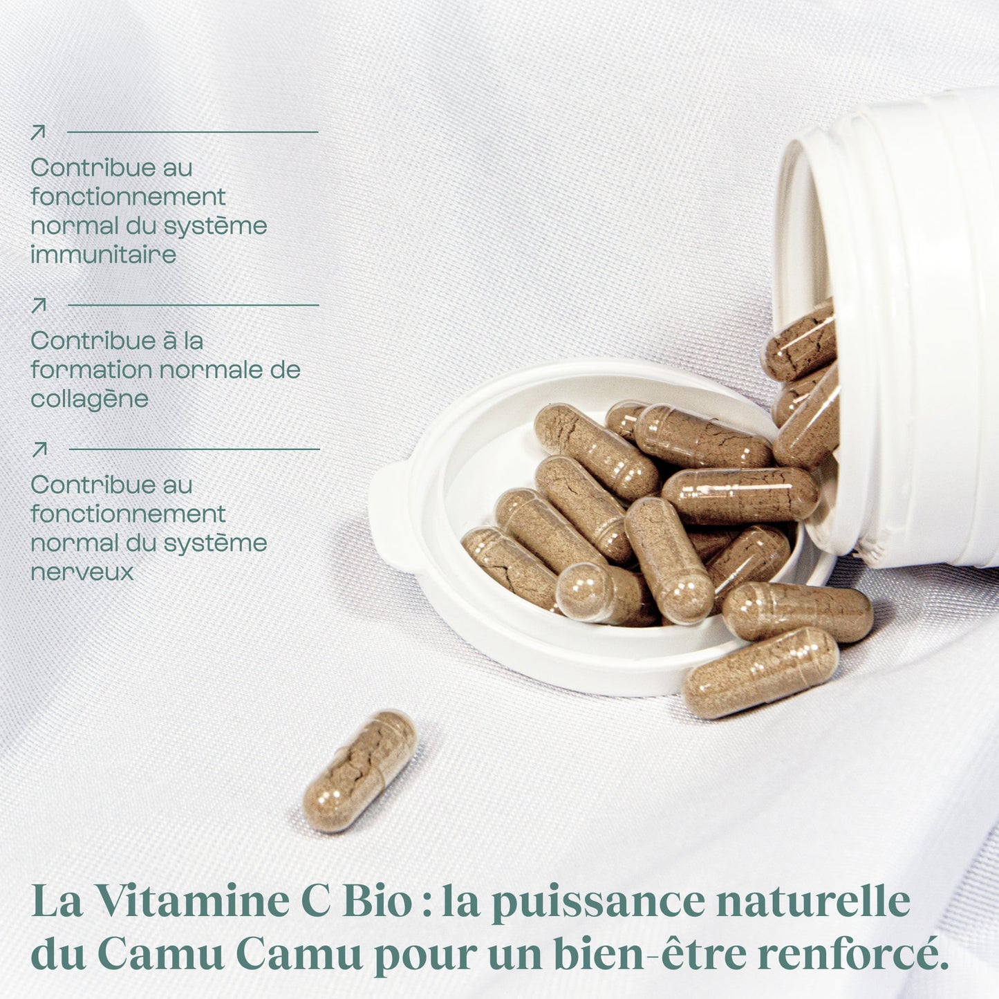 Vitamine C Bio en gélules