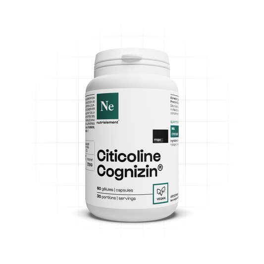 Citicoline Cognizin en gélules