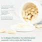 Peptides de Collagène en poudre