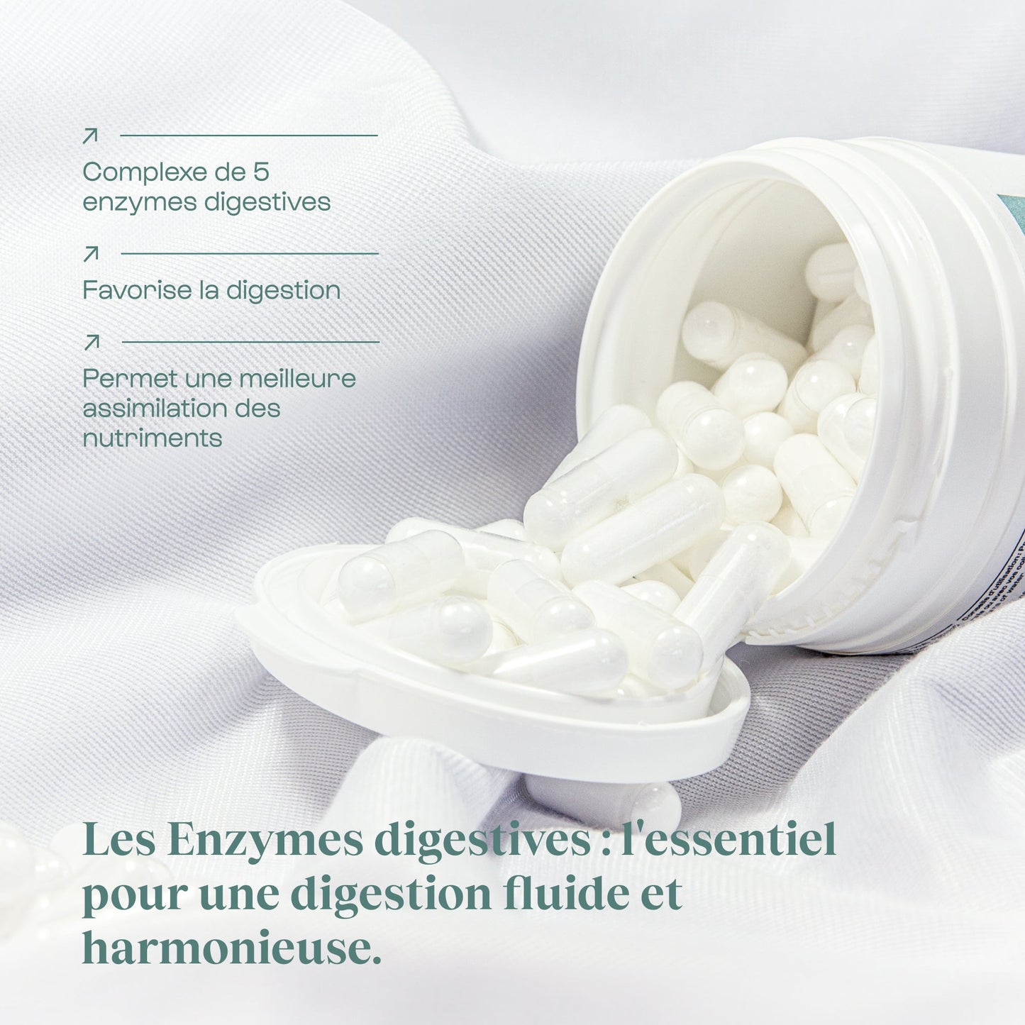 Enzymes digestives (Digezyme®)