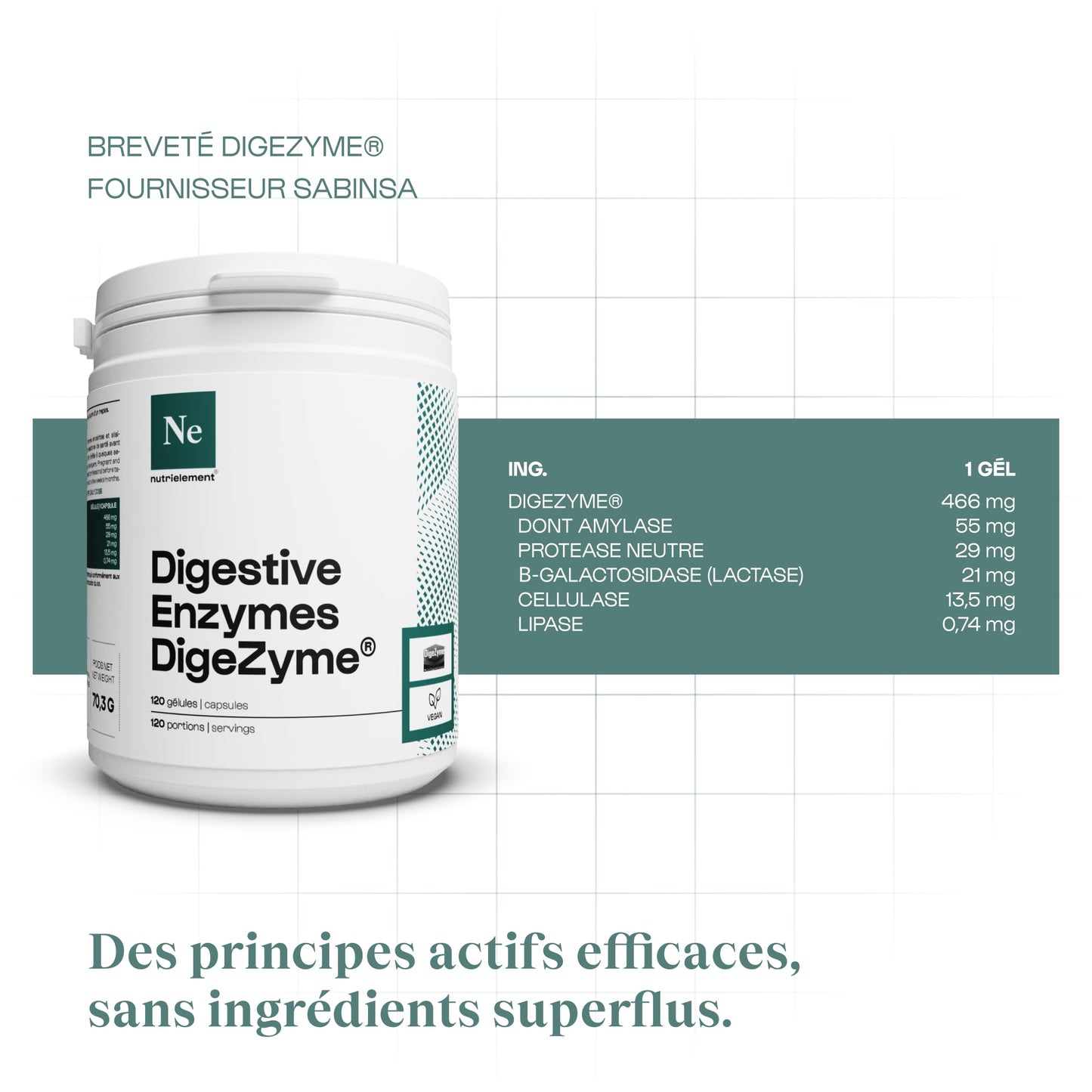 Enzymes digestives (Digezyme®)