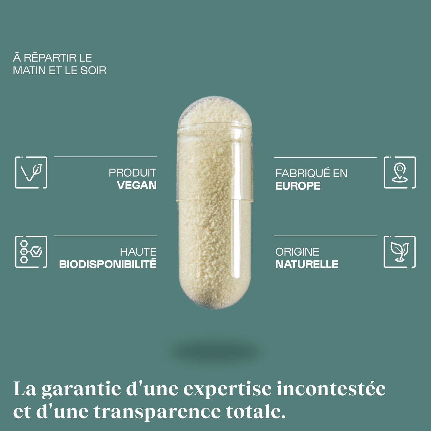 Fibres Nutriose en gélules