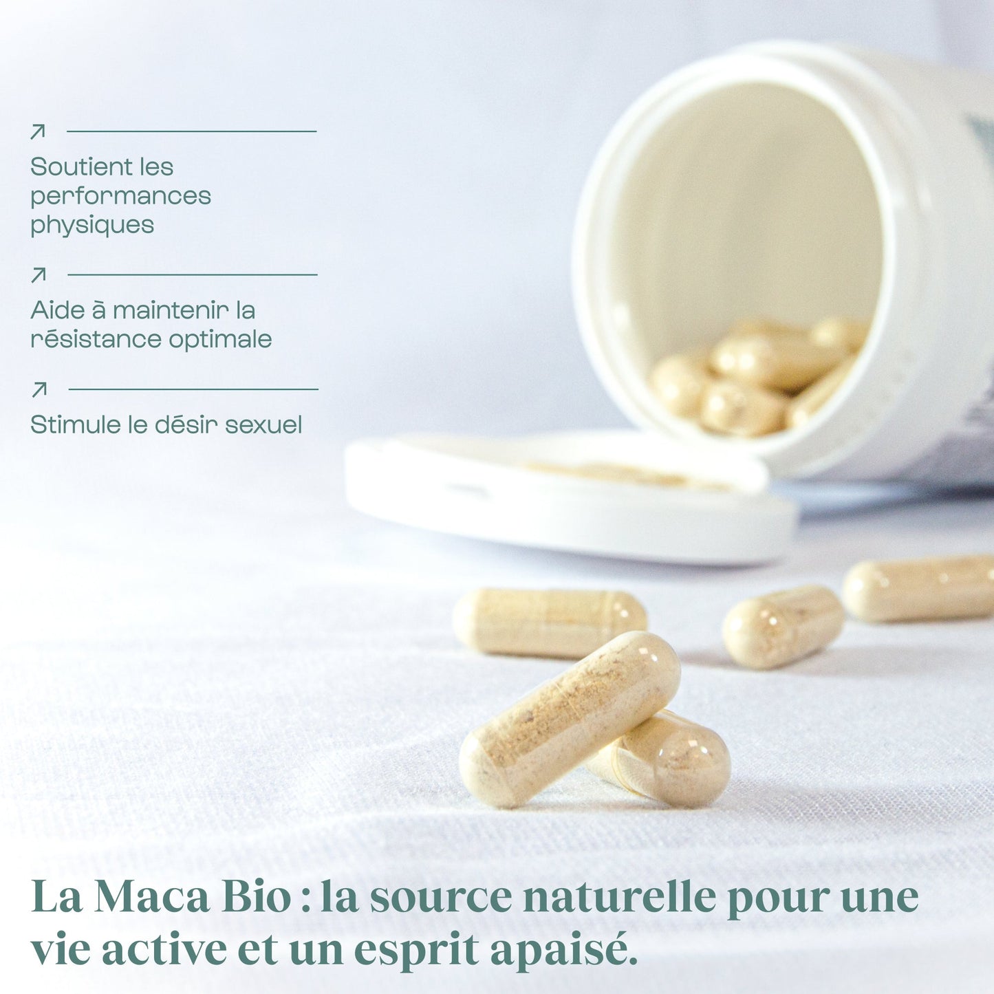 Maca bio en gélules