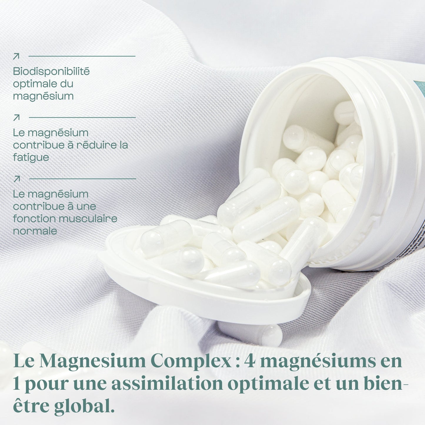 Complexe Magnesium