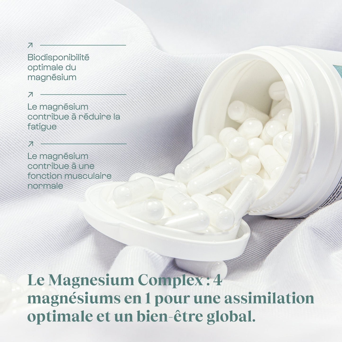 Complexe Magnesium