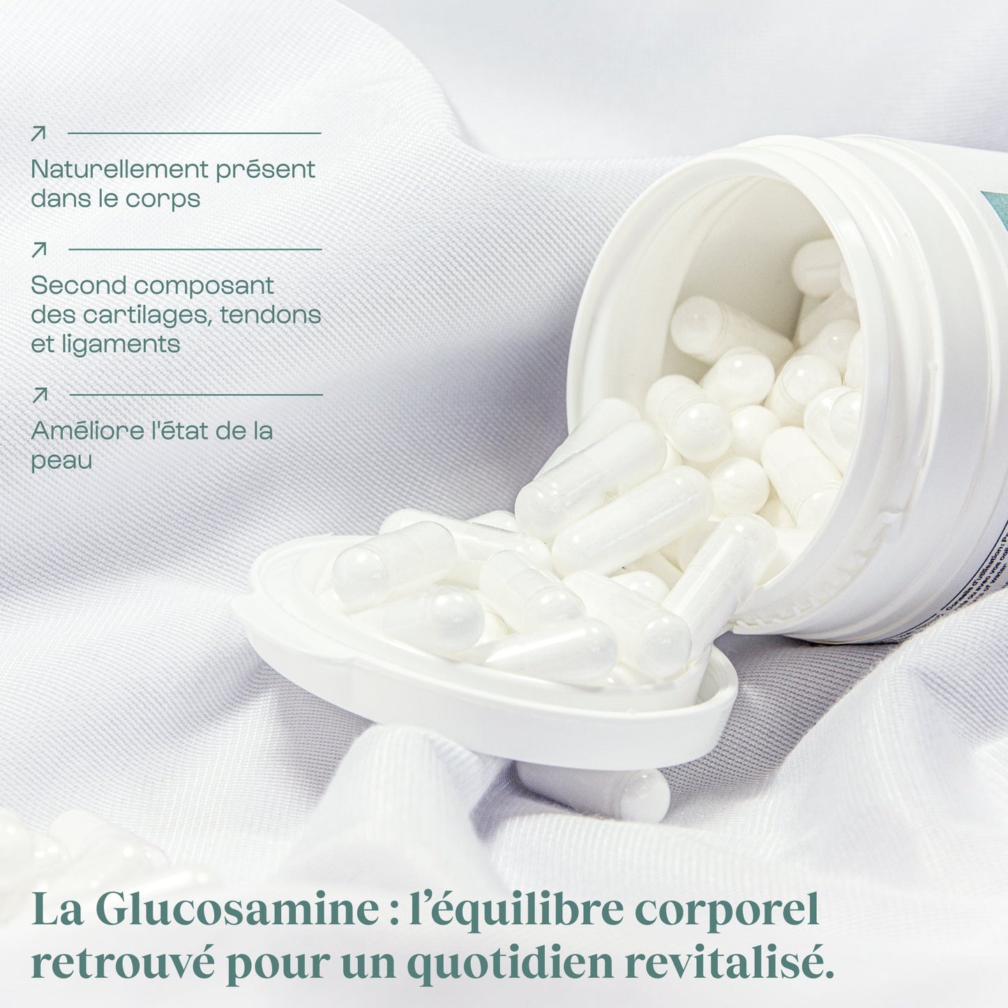 Glucosamine (N-Acetylglucosamine) Hyalurogluco™ en gélules