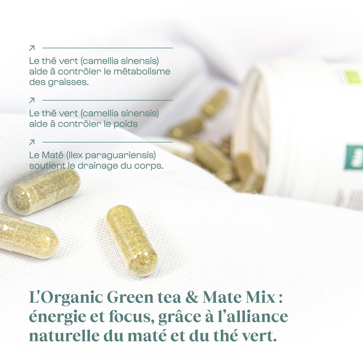 Mix Thé Vert & Maté Bio - Burner